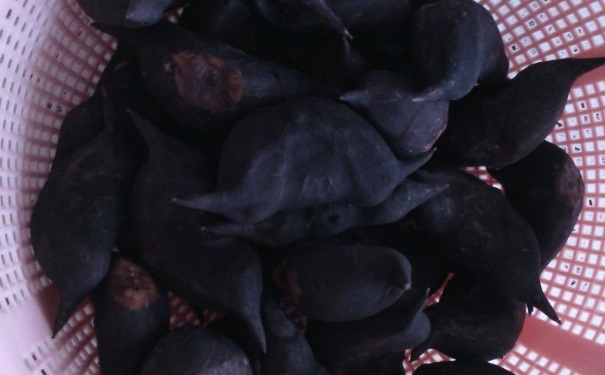 ��ǿǵĹ�Ч����������Щ �����ô��